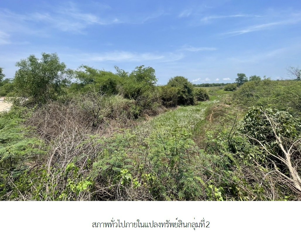 รูป ที่ดินว่างเปล่า 399114 ตร.วา เมืองปราจีนบุรี ปราจีนบุรี 350M - รูปที่ 15/19