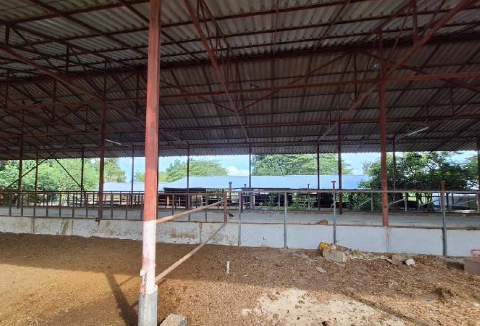 picture LAND 411.5 Sq.w. Sikhiu Nakhon Ratchasima for 822,000 - 10/12