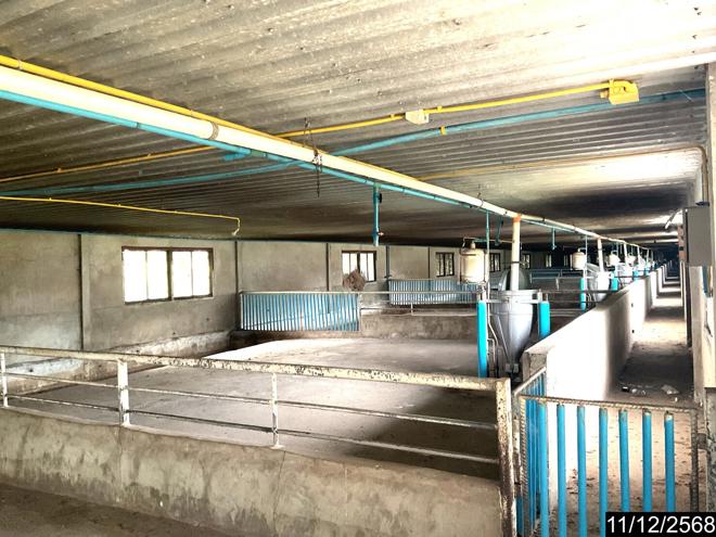 รูป ฟาร์ม 23802 ตร.วา หนองวัวซอ อุดรธานี 36.6M - รูปที่ 5/50