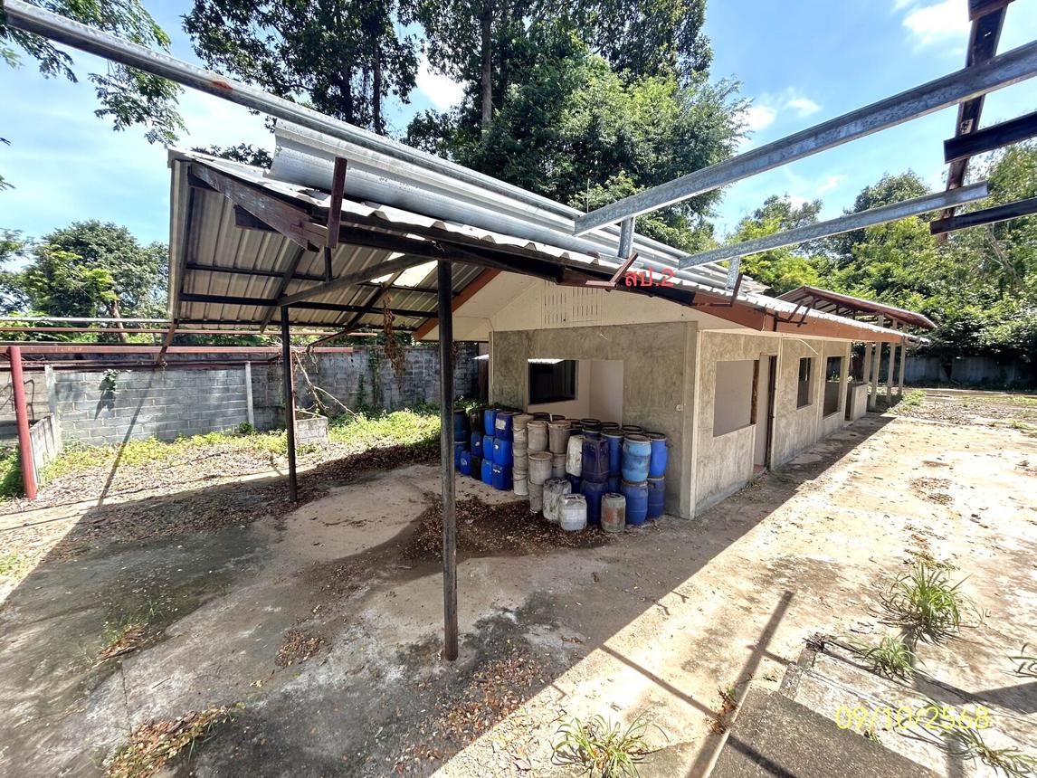 รูป บ้านเดี่ยว 1200.8 ตร.วา เมืองยโสธร ยโสธร 3.5M - รูปที่ 19/40