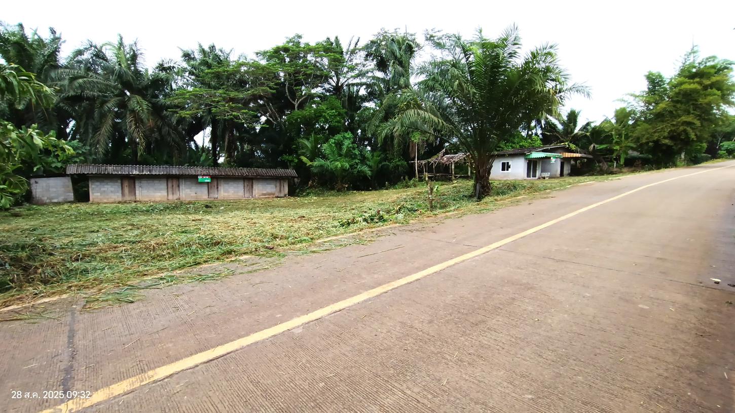 รูป บ้านเดี่ยว 344 ตร.วา ชัยบุรี สุราษฎร์ธานี 597,000 - รูปที่ 17/36