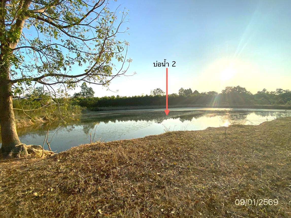 รูป ฟาร์ม 6418.2 ตร.วา พนัสนิคม ชลบุรี 9.5M - รูปที่ 29/34
