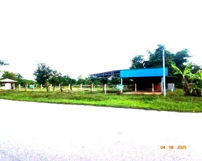 ขายบ้านเดี่ยว : บ้านเดี่ยว 1600 ตร.วา ศรีวิไล บึงกาฬ 3.7M