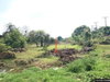 listing thumbnail image 5