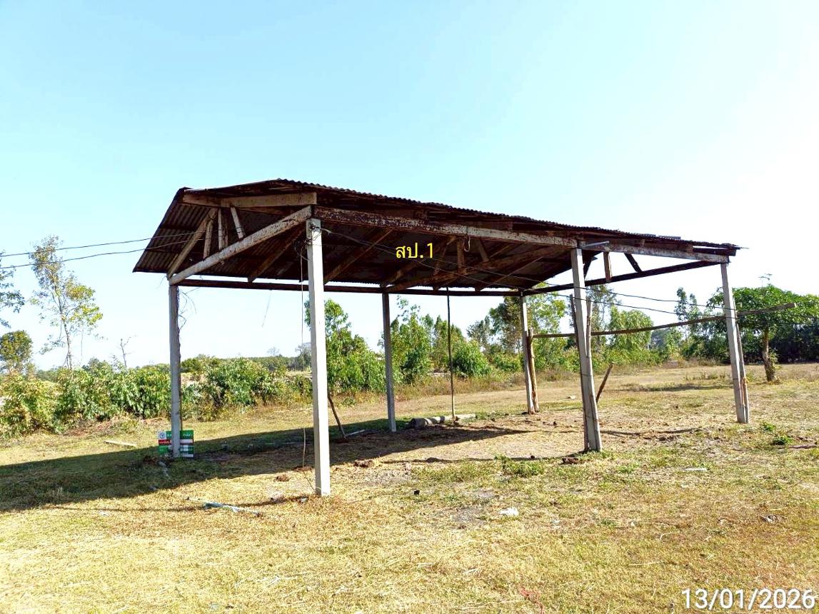 picture FACTORY 1629 Sq.w. Phon Thong Roi Et for 1M - 14/24