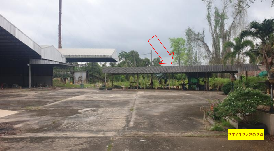 picture LAND 4910 Sq.w. Phunphin Surat Thani for 21.9M - 5/10