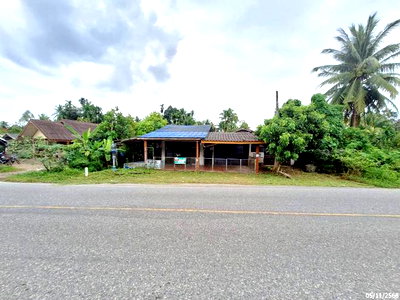 บ้านเดี่ยว ตะโหมด พัทลุง : บ้านเดี่ยว 77 ตร.วา ตะโหมด พัทลุง 1.5M