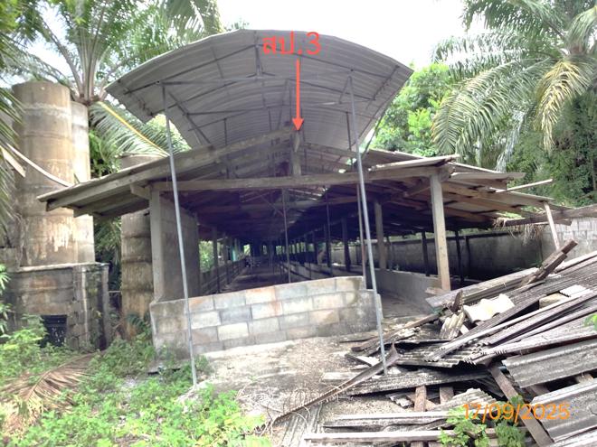 รูป ฟาร์ม 2259.1 ตร.วา เฉลิมพระเกียรติ นครศรีธรรมราช 5.6M - รูปที่ 6/36