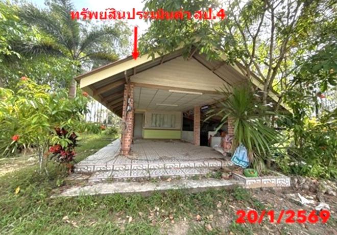 รูป บ้านเดี่ยว 2416 ตร.วา ปะเหลียน ตรัง 21.3M - รูปที่ 26/60