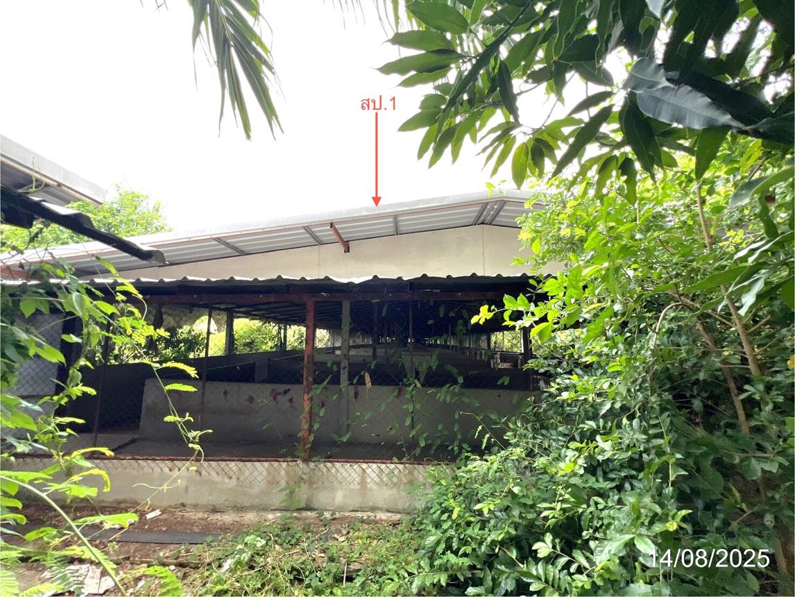 picture LAND 1958 Sq.w. Muang Nakhon Sawan Nakhon Sawan for 4M - 16/34