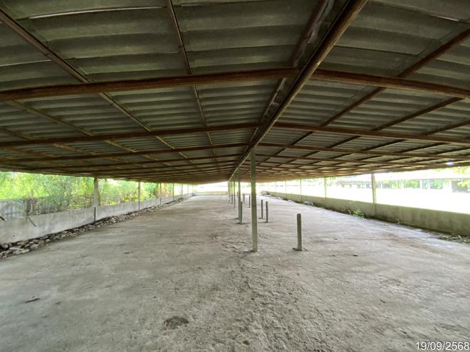 picture LAND 3345 Sq.w. Tha Wung Lopburi for 9.3M - 16/50