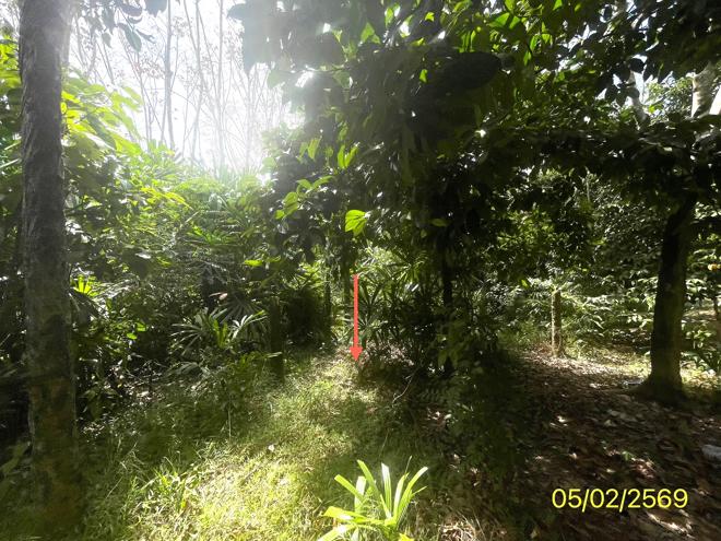 picture LAND 310 Sq.w. Hat Yai Songkhla for 1.1M - 6/22