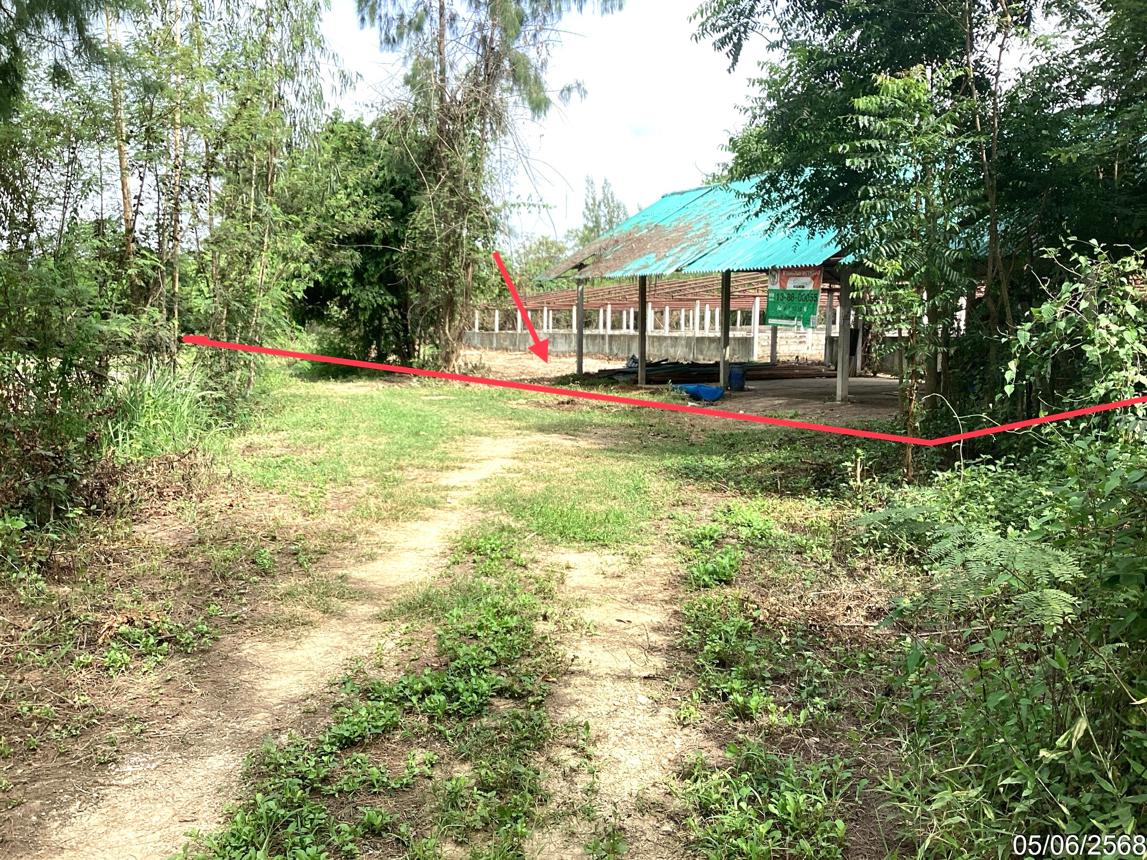 รูป ฟาร์ม 910.1 ตร.วา แก่งกระจาน เพชรบุรี 1.5M - รูปที่ 11/24