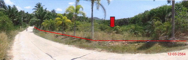 รูป ที่ดินพร้อมสิ่งปลูกสร้าง 3285 ตร.วา อำเภอเมืองชุมพร ชุมพร 3.5M - รูปที่ 2/3