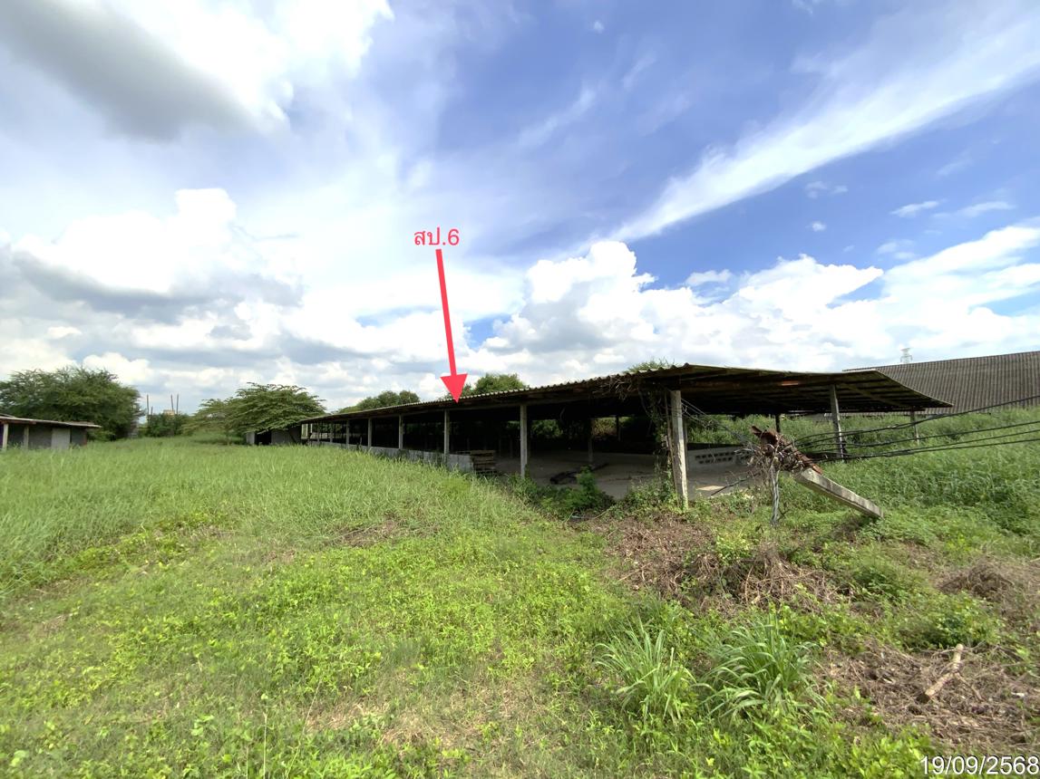 picture LAND 3345 Sq.w. Tha Wung Lopburi for 9.3M - 38/50