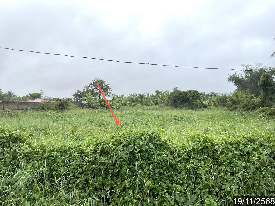 picture HOME 1062 Sq.w. Phan Chiang Rai for 2.9M - 14/24