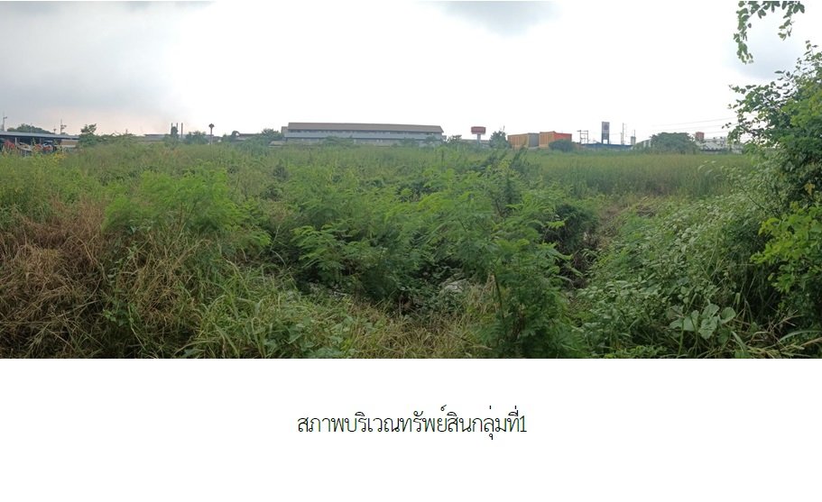 รูป ที่ดินว่างเปล่า 7400 ตร.วา กระทุ่มแบน สมุทรสาคร 160M - รูปที่ 5/10