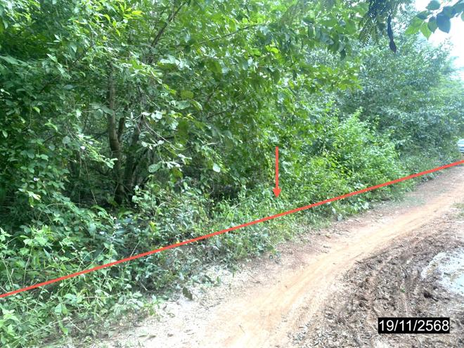 รูป บ้านเดี่ยว 14725.3 ตร.วา เมืองกาฬสินธุ์ กาฬสินธุ์ 28.4M - รูปที่ 14/38