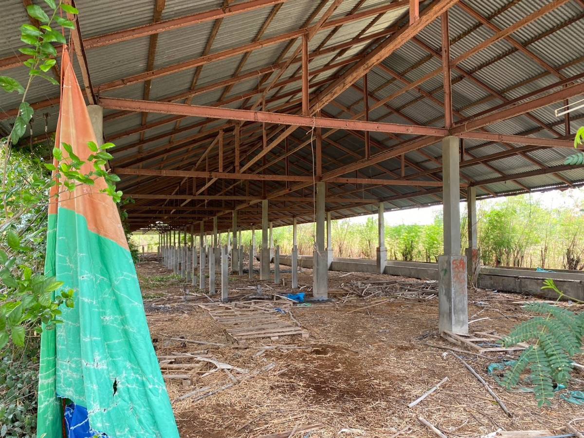 รูป ที่ดินพร้อมสิ่งปลูกสร้าง 35967 ตร.วา อำเภอลำปลายมาศ บุรีรัมย์ 27.5M - รูปที่ 6/9