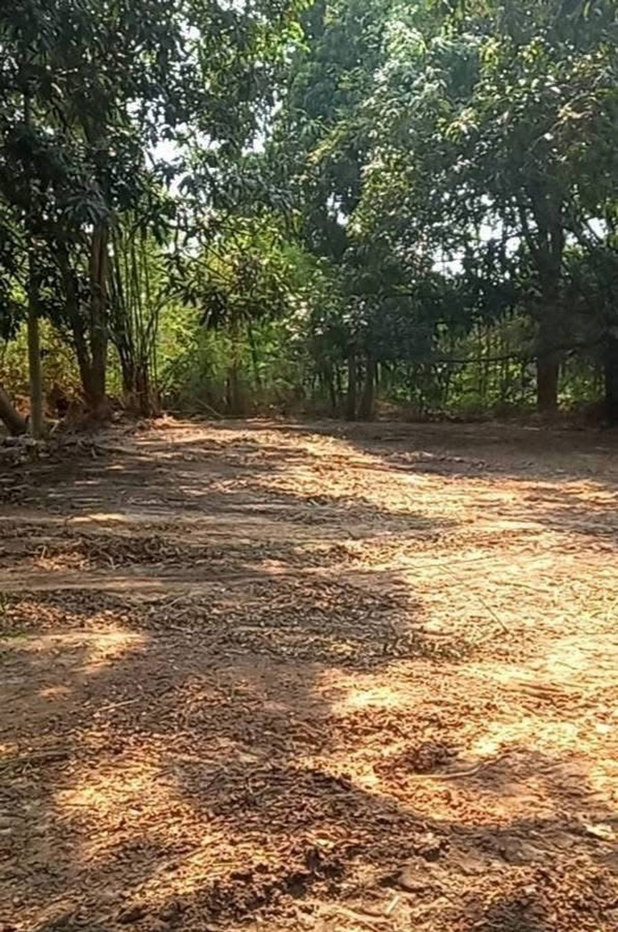 รูป 🌳ขายที่ดินบรรยากาศดี  ร่มรื่นด้วยต้นไม้  หน้าที่ดินวิวบึงน้ำ เดินทางเข้าตัวเมืองอุดร หรือ ไปหนองคายอย่างสะดวก    - รูปที่ 6/6
