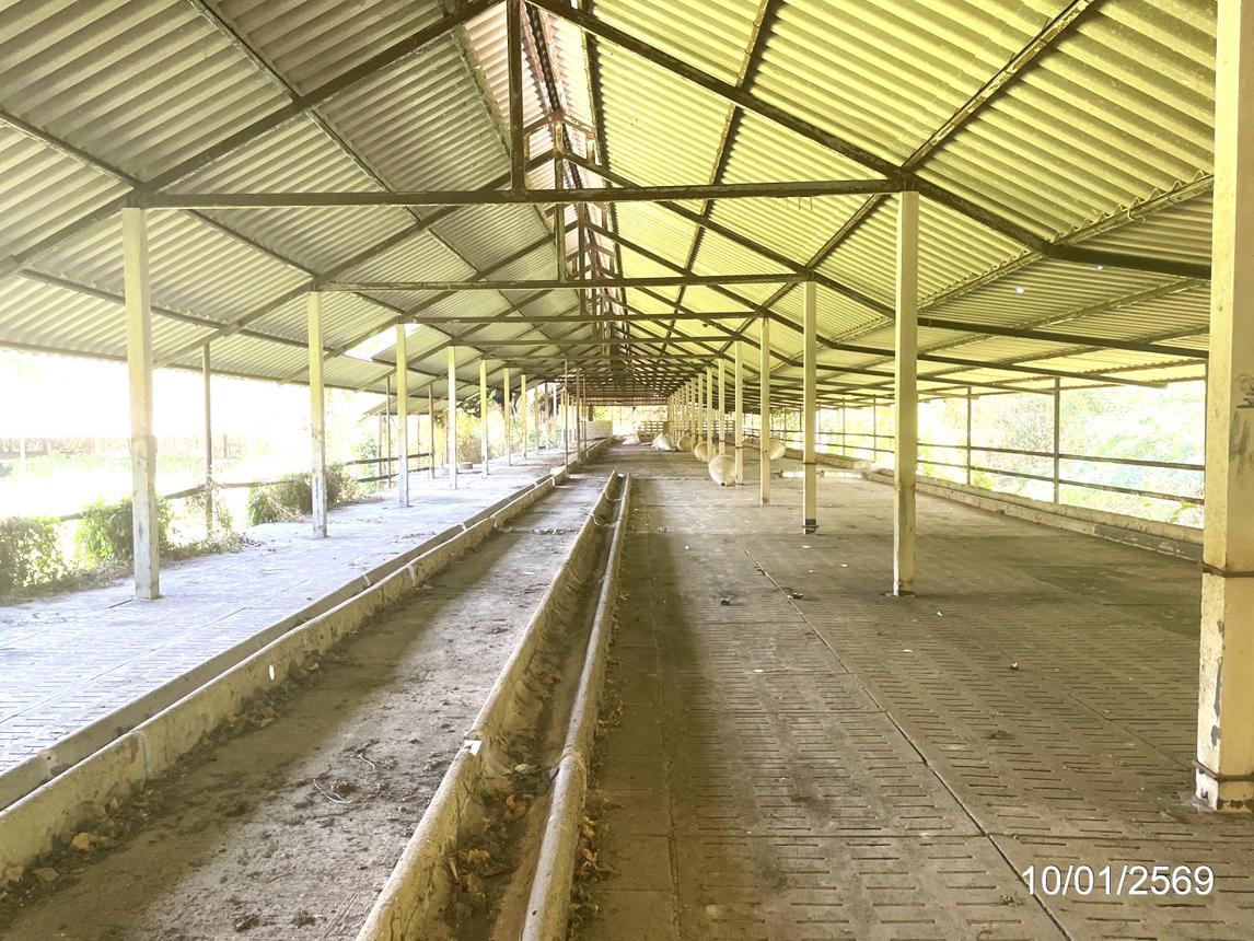 picture LAND 12644 Sq.w. Ko Chan Chonburi for 14.6M - 33/44