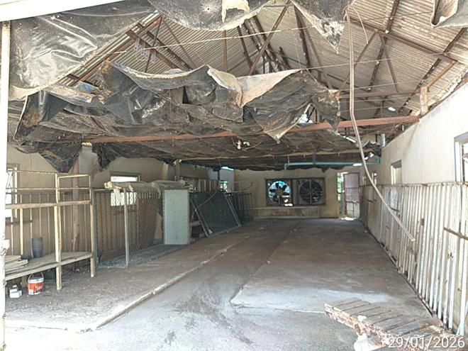 รูป ฟาร์ม 6600 ตร.วา เมืองปราจีนบุรี ปราจีนบุรี 12.1M - รูปที่ 5/50