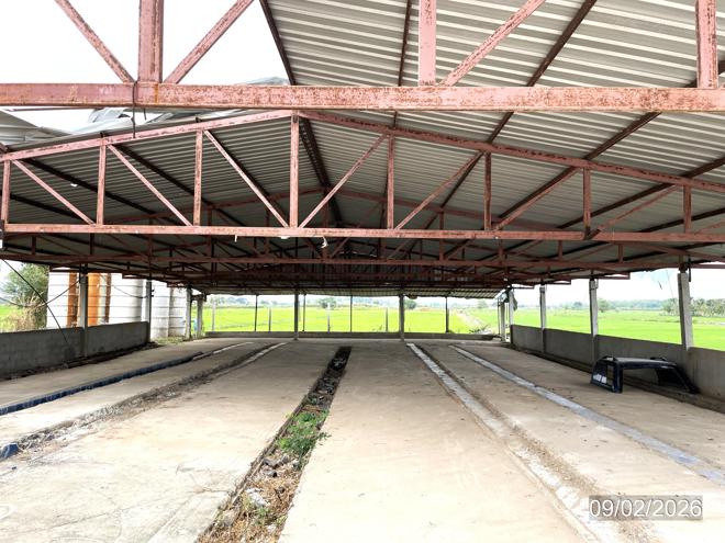 picture LAND 6259 Sq.w. Muang Phichit Phichit for 989,000 - 6/32