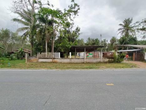 รูป เพิงอเนกประสงค์ 262 ตร.วา จะนะ สงขลา 1.1M - รูปที่ 21/24