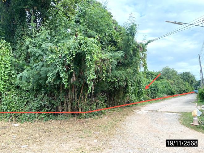 รูป บ้านเดี่ยว 14725.3 ตร.วา เมืองกาฬสินธุ์ กาฬสินธุ์ 28.4M - รูปที่ 10/38