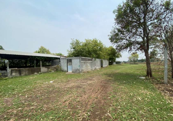 picture LAND 8607 Sq.w. Pathumrat Roi Et for 2.8M - 2/3