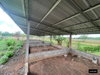 listing thumbnail image 35