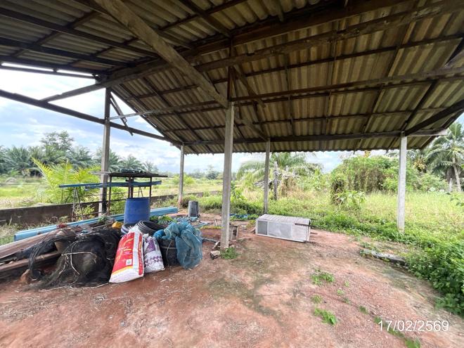 picture FACTORY 3056 Sq.w. Chaiya Surat Thani for 2.1M - 3/20