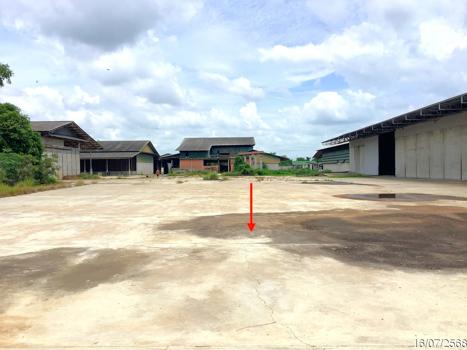 รูป โรงสี 13340 ตร.วา หนองบัว นครสวรรค์ 50.6M - รูปที่ 65/68