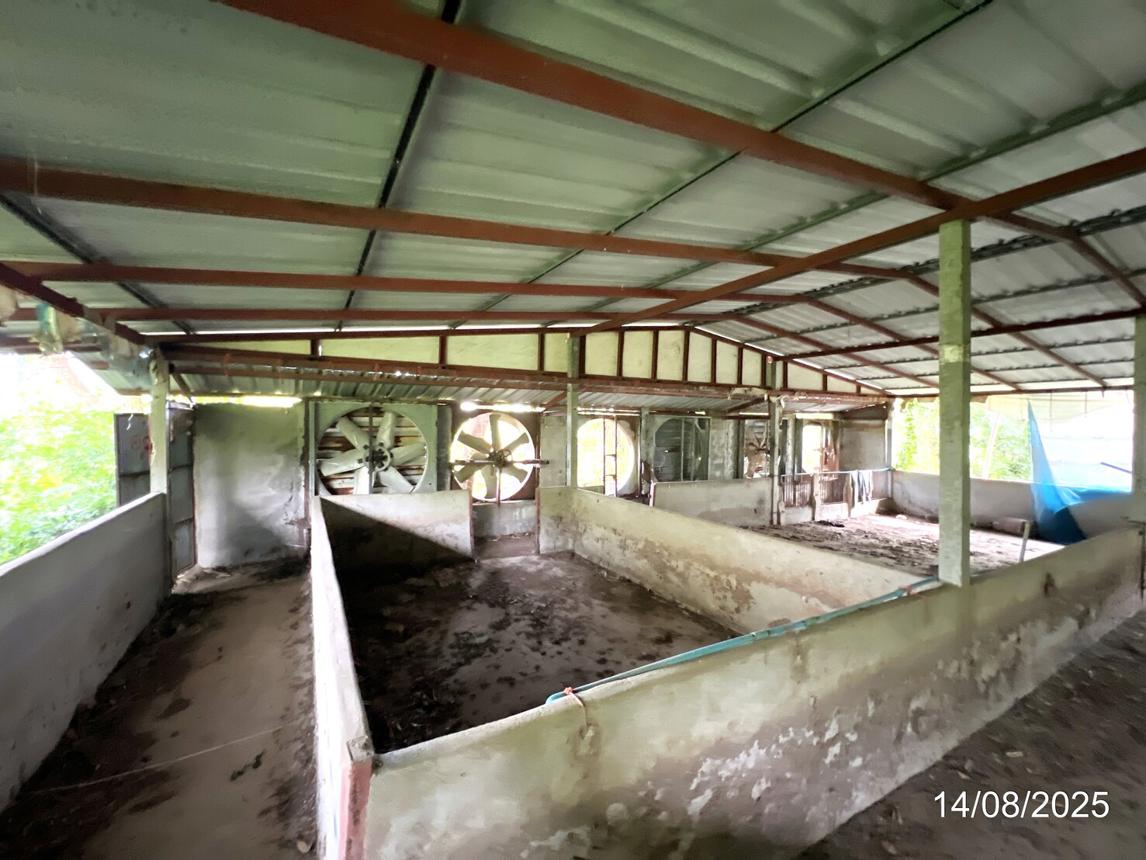 picture LAND 1958 Sq.w. Muang Nakhon Sawan Nakhon Sawan for 4M - 20/34