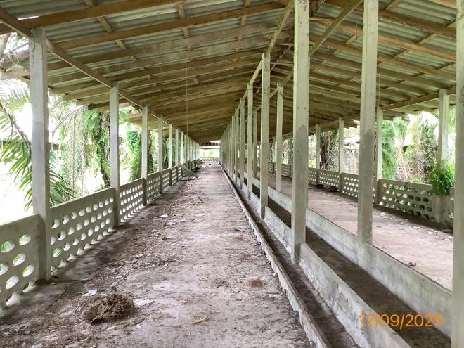 รูป ฟาร์ม 2259.1 ตร.วา เฉลิมพระเกียรติ นครศรีธรรมราช 5.6M - รูปที่ 14/36