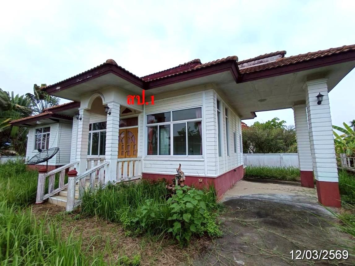 รูป บ้านเดี่ยว 3052 ตร.วา ฝาง เชียงใหม่ 10.3M - รูปที่ 11/24