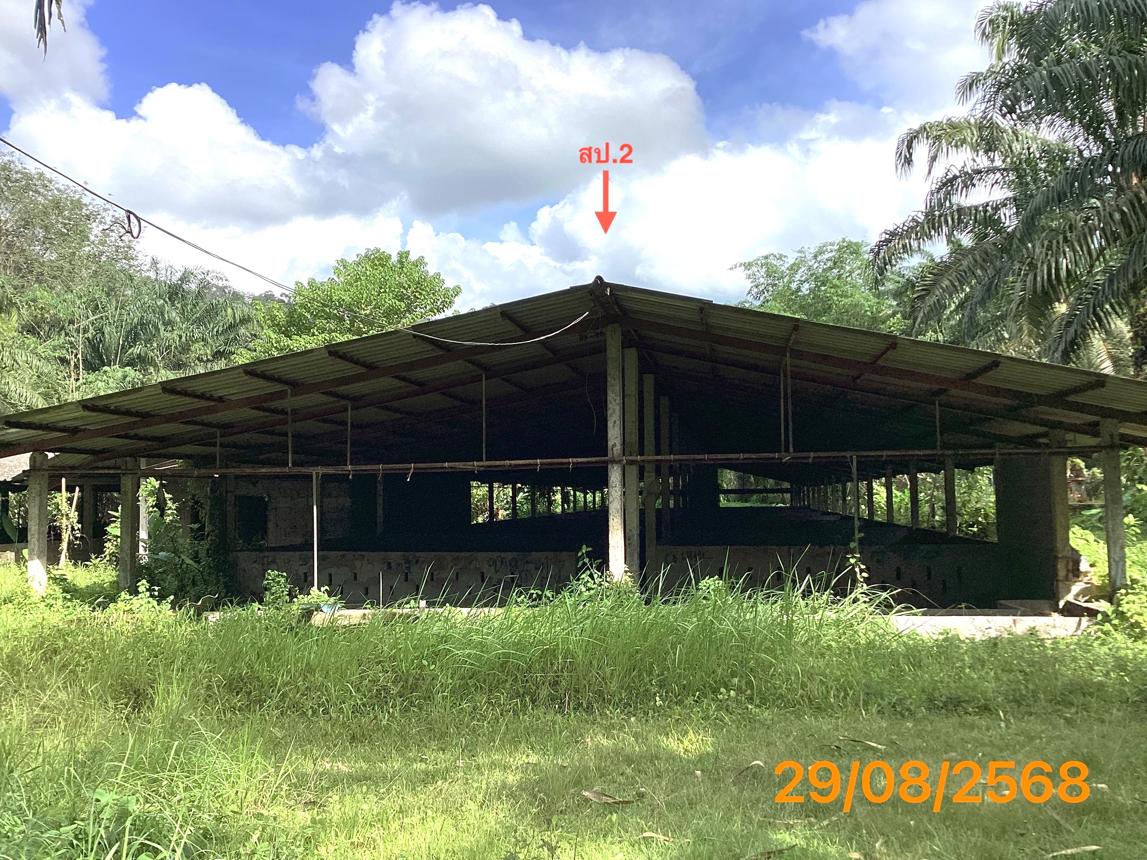 picture LAND 2165 Sq.w. Kapong Phangnga for 4M - 17/36