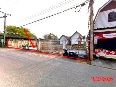 บ้านเดี่ยว บ้านโฮ่ง ลำพูน : บ้านเดี่ยว 248 ตร.วา บ้านโฮ่ง ลำพูน 2.3M