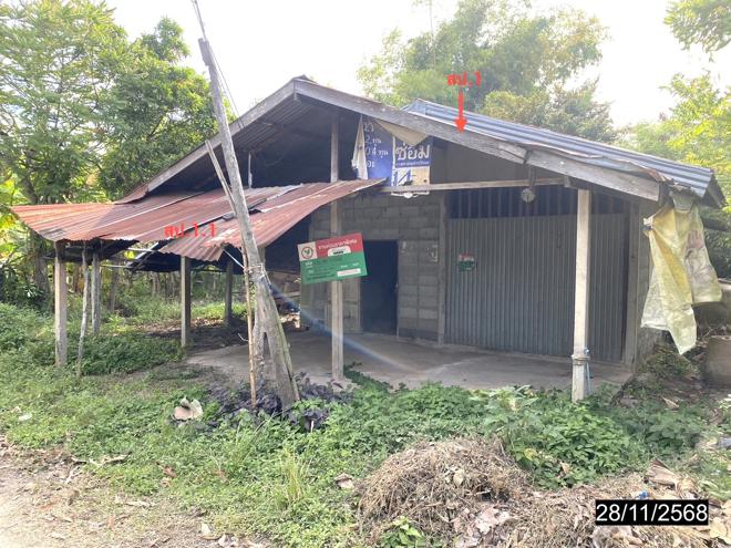 รูป บ้านเดี่ยว 118 ตร.วา หนองกุงศรี กาฬสินธุ์ 518,000 - รูปที่ 4/32