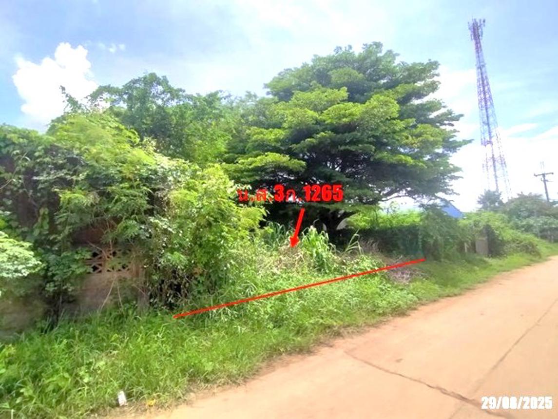 รูป เพิงอเนกประสงค์ 2059 ตร.วา นากลาง หนองบัวลำภู 14.9M - รูปที่ 13/26