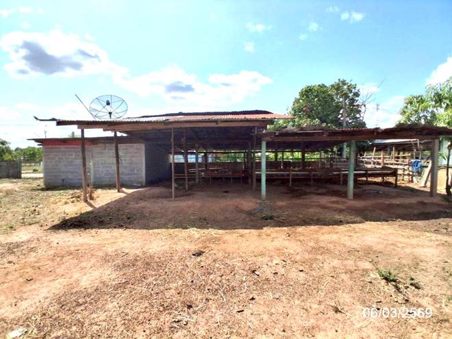 picture HOME 678.7 Sq.w. Nong Phok Roi Et for 5.5M - 12/32