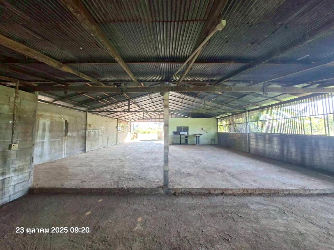 รูป บ้านเดี่ยว 105 ตร.วา แม่จัน เชียงราย 1.5M - รูปที่ 15/26