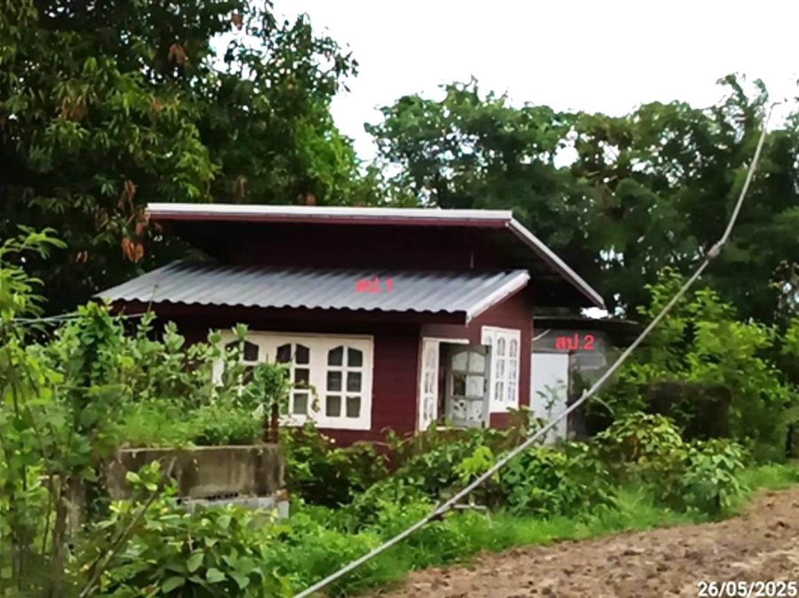 รูป บ้านเดี่ยว 100 ตร.วา ประทาย นครราชสีมา 353,000 - รูปที่ 8/18