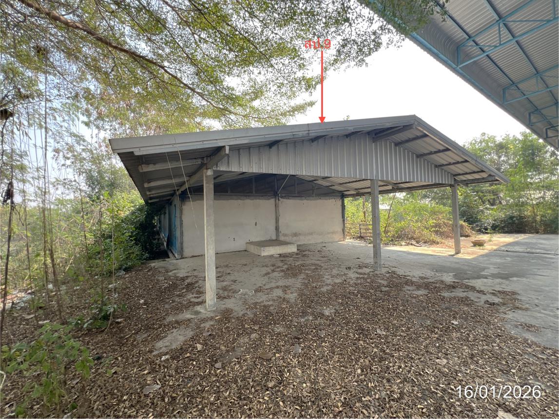 picture LAND 9600 Sq.w. Kao Lieo Nakhon Sawan for 12.6M - 41/46