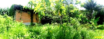 Houses for sale Yaha Yala : HOME 540 Sq.w. Yaha Yala for 1.3M