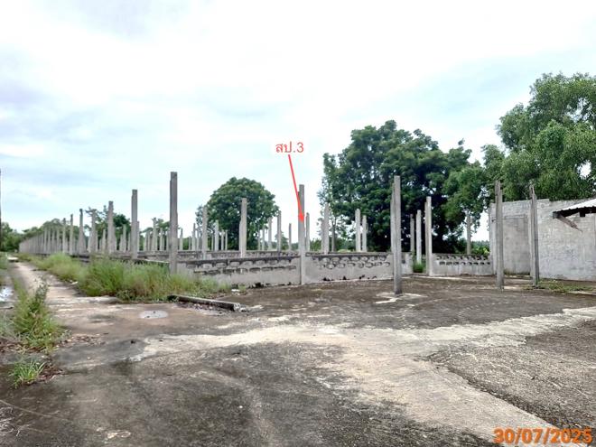 รูป ฟาร์ม 3846 ตร.วา กระสัง บุรีรัมย์ 4.7M - รูปที่ 11/34