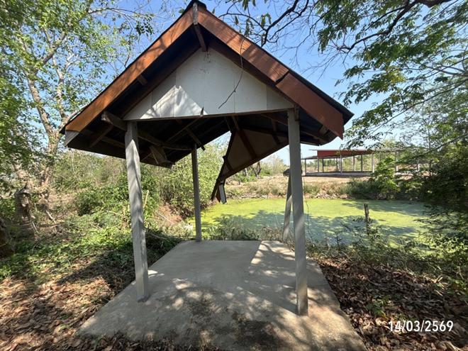 รูป บ้านเดี่ยว 1096 ตร.วา โนนสูง นครราชสีมา 1.7M - รูปที่ 11/44