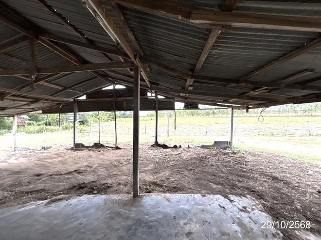 รูป บ้านเดี่ยว 1140 ตร.วา ชุมพลบุรี สุรินทร์ 1.8M - รูปที่ 8/34