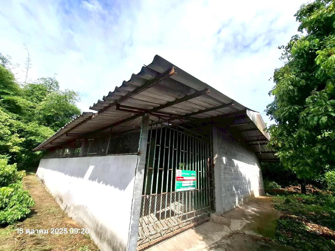 รูป เพิงอเนกประสงค์ 525 ตร.วา จอมทอง เชียงใหม่ 1.4M - รูปที่ 14/30