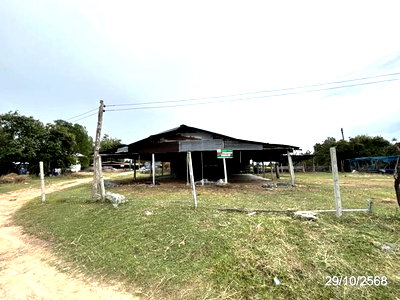 ขายบ้านเดี่ยว : บ้านเดี่ยว 1140 ตร.วา ชุมพลบุรี สุรินทร์ 1.8M